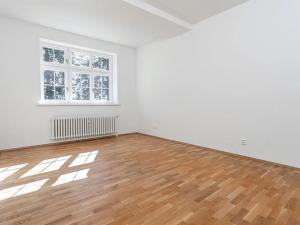 Pronájem bytu 5+kk, Praha - Smíchov, U Plátenice, 226 m2