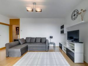 Pronájem bytu 1+kk, Praha - Žižkov, Pitterova, 44 m2