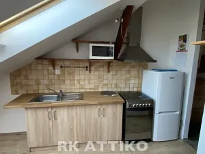 Pronájem bytu 1+kk, Brno, Hybešova, 52 m2