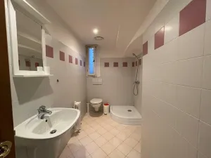 Prodej obchodního prostoru, Praha - Vinohrady, Šumavská, 103 m2