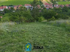 Prodej zahrady, Viničné Šumice, 942 m2