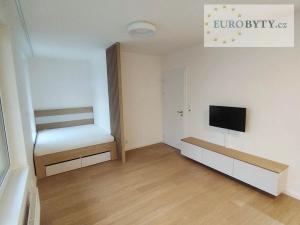 Pronájem bytu 1+kk, Praha - Dolní Měcholupy, 40 m2