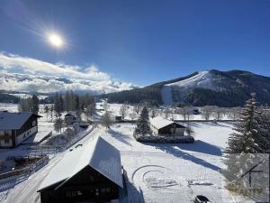 Prodej bytu 2+1, Ramsau am Dachstein, Rakousko, 60 m2