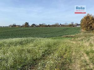 Prodej pozemku pro bydlení, Paceřice, 1000 m2