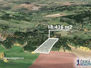 Prodej podílu lesa, Stará Paka, 2304 m2