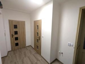 Pronájem bytu 2+kk, Ústí nad Labem, Mlýnská, 55 m2