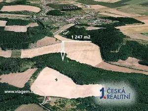 Prodej lesa, Silůvky, 1247 m2