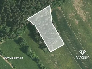 Prodej podílu lesa, Kuřimská Nová Ves, 583 m2