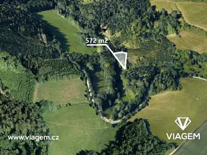 Prodej lesa, Záhoří, 572 m2