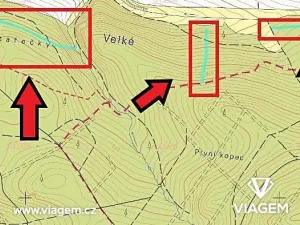 Prodej lesa, Červený Hrádek, 6531 m2