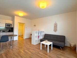 Pronájem bytu 1+kk, Brno, Francouzská, 39 m2