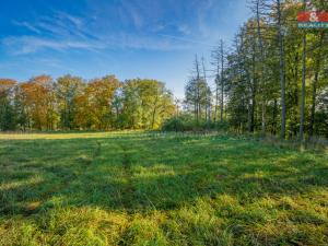 Prodej pozemku pro bydlení, Niměřice - Horní Cetno, 1265 m2