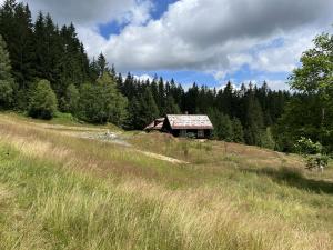 Prodej pozemku, Staré Hamry, 70000 m2