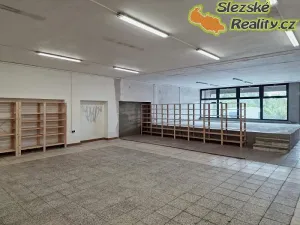 Pronájem obchodního prostoru, Petřvald, 180 m2