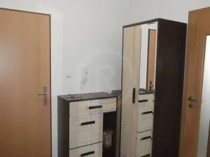 Pronájem bytu 1+kk, České Budějovice, Kamarytova, 29 m2