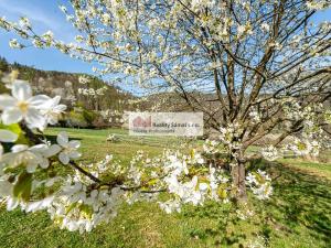 Prodej pozemku pro bydlení, Solenice, 8019 m2