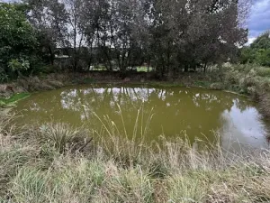 Prodej zemědělské usedlosti, Štědrá, 1787 m2