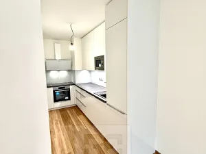 Pronájem bytu 2+kk, Praha - Žižkov, Jana Želivského, 66 m2