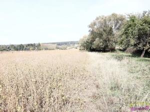 Prodej pole, Dvůr Králové nad Labem, Do Polí, 27614 m2