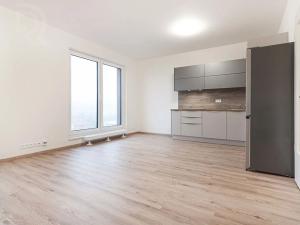 Pronájem bytu 1+kk, Praha - Strašnice, Počernická, 40 m2