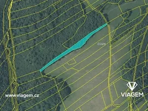 Prodej podílu lesa, Fulnek, 7911 m2