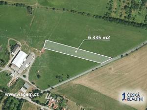 Prodej lesa, Vanovice, 5090 m2