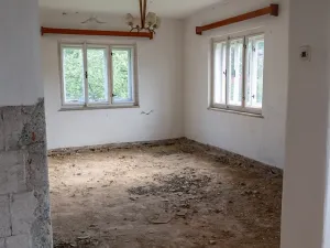 Prodej rodinného domu, Zlatá Olešnice, 430 m2