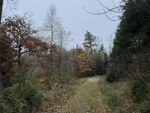 Prodej pozemku, Světlá nad Sázavou, 6085 m2