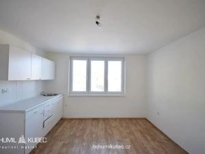 Pronájem bytu 1+kk, Tábor, Zavadilská, 22 m2