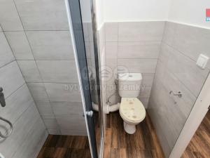 Pronájem bytu 1+kk, Kladno - Kročehlavy, Dánská, 23 m2