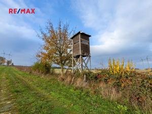 Prodej pole, Dolní Město, 368163 m2