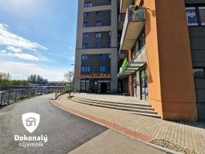 Pronájem bytu 2+kk, Praha - Vysočany, Freyova, 45 m2