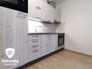 Pronájem bytu 1+kk, Praha - Žižkov, Olgy Havlové, 38 m2