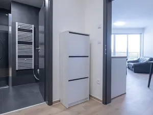 Pronájem bytu 2+kk, Brno, Nachová, 42 m2