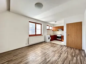 Pronájem bytu 2+kk, Brno, Čeňka Růžičky, 50 m2