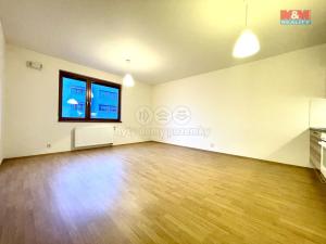 Pronájem bytu 1+kk, Praha, Hanusova, 38 m2