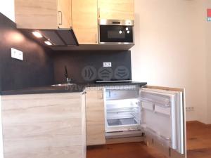 Prodej bytu 1+kk, Praha - Vinohrady, Perucká, 26 m2