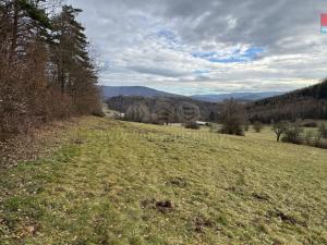 Prodej louky, Rožnov pod Radhoštěm, 3006 m2