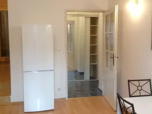 Pronájem bytu 1+kk, Praha - Nusle, Nad Jezerkou, 30 m2