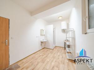 Pronájem bytu 1+kk, Praha - Vinohrady, Jana Masaryka, 20 m2