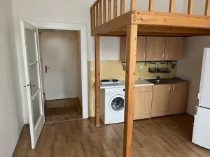 Pronájem bytu 1+kk, Praha - Vinohrady, Budečská, 25 m2