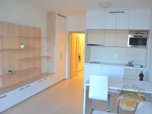 Pronájem bytu 1+kk, Praha - Vršovice, Novgorodská, 31 m2