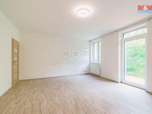 Pronájem bytu 3+kk, Cheb, Břehnická, 90 m2