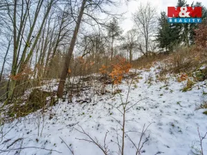 Prodej zahrady, Plasy, 2180 m2