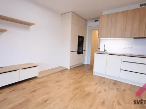 Pronájem bytu 1+kk, Praha - Žižkov, Šrámkové, 35 m2