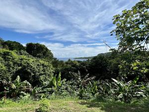 Prodej rodinného domu, Mariposa, José Santos Guardiola, Honduras, 163 m2