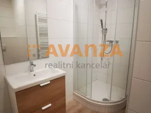 Pronájem bytu 2+1, Děčín, U Splavu, 56 m2