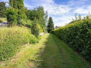 Prodej rodinného domu, Svoboda nad Úpou, Pod Světlou horou, 160 m2