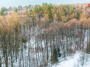 Prodej lesa, Mírová pod Kozákovem - Sekerkovy Loučky, 845 m2