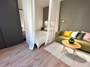 Pronájem bytu 1+1, Brno, Pechova, 30 m2